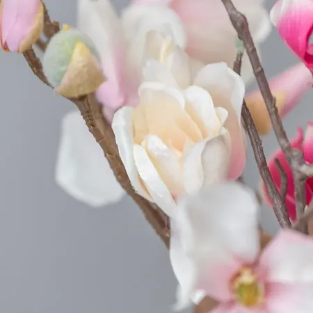 Appartamento Gordana Jelicic *