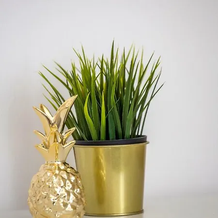 Gordana Jelicic * Hvar Town