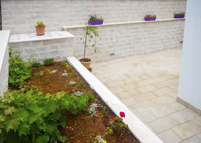 Gordana Jelicic Hvar Town