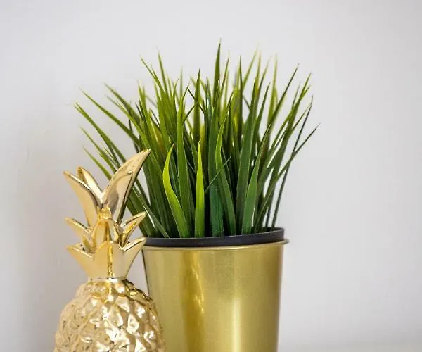 Gordana Jelicic * Hvar Town