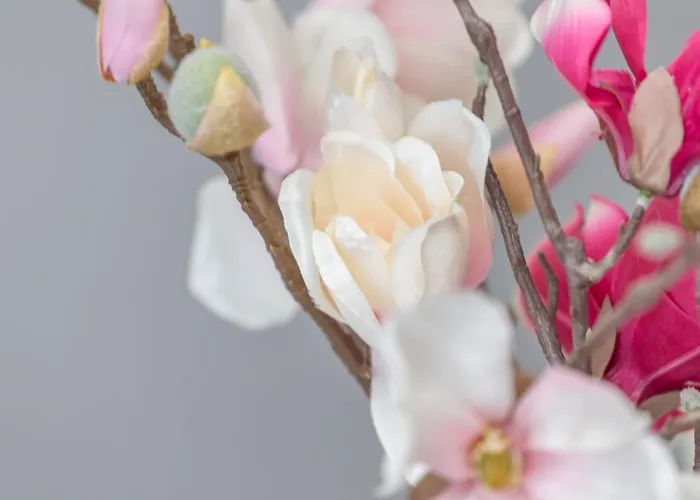 Appartamento Gordana Jelicic *