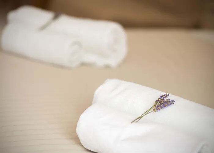 Apartment Gordana Jelicic